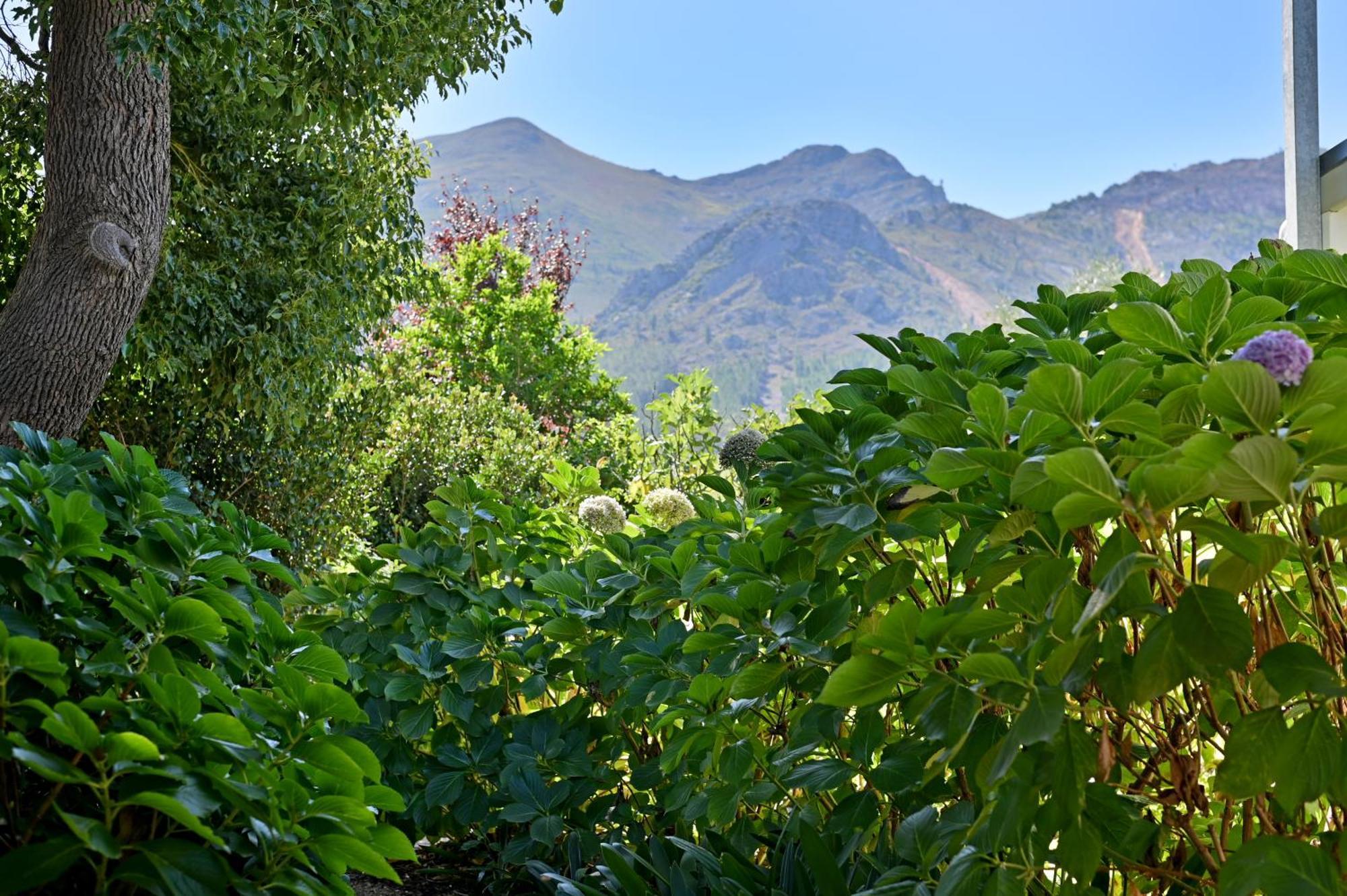 Fransvliet Guest House Franschhoek Exterior photo